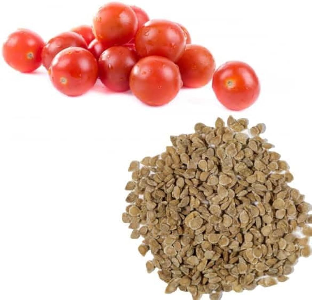 Iris Guru Tomato Seed